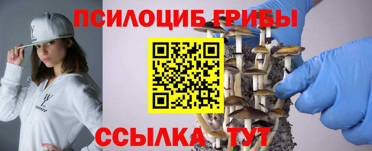 Галлюциногенные грибы GOLDEN TEACHER  Галлюциногенные грибы Psilocybine cubensis  Вход с VPN  Южно-Сахалинск 